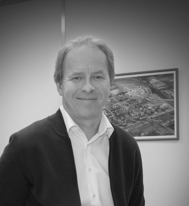 Testimony, David Demesteere, Plant director