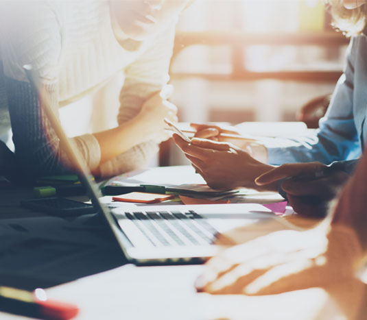 Découvrir nos solutions sur mesure pour la nutrition animale